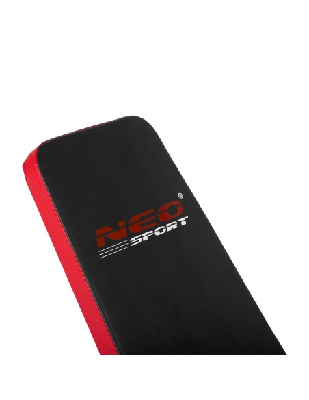 Suoliukas mankštai su Neo-Sport NS-213 pamokslininku Suoliukas mankštai su Neo-Sport NS-213 pamokslininku