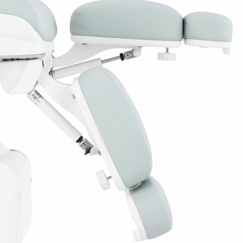 Podiatry kosmetinė kėdė tatuiruočių pedikiūro SPA ROME - pistacija