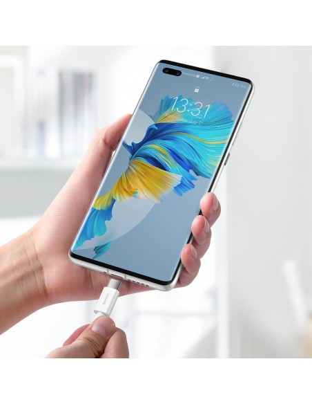 
Superior USB – USB-C laidas 66W 6A 2m – baltas
