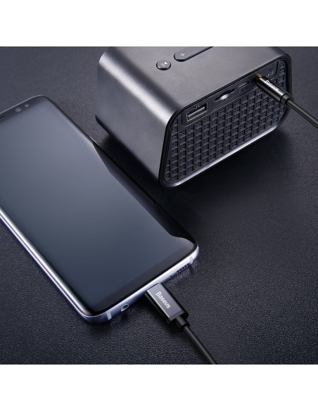 Stereo garso laidas AUX 3.5mm Mini Jack - USB-C 120cm - juodas
 
Stereo garso laidas AUX 3.5mm Mini Jack - USB-C 120cm - juodas