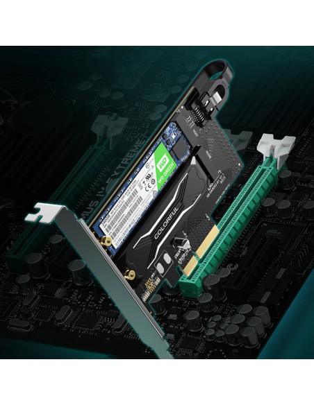 Išplėtimo kortelės PCIe 3.0 x4 adapteris papildomi du SSD lizdai M.2 M-Key ir M.2 B-Key
 
Išplėtimo kortelės PCIe 3.0 x4 adapteris papildomi du SSD lizdai M.2 M-Key ir M.2 B-Key