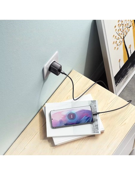 
USB-C 25W PD telefono įkroviklis + 2m juodas USB-C laidas
