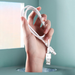 
USB laidas – USB-C 2.4A 1.2 m baltas
