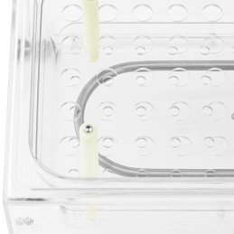 
Laboratorinė vandens vonelė skaidri 5-100C 9 l
