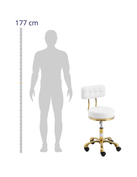 Taburetė, kosmetinė taburetė su atlošu ant ratukų, iki 150 kg GELA, balta ir auksinė
 
Taburetė, kosmetinė taburetė su atlošu ant ratukų, iki 150 kg GELA, balta ir auksinė