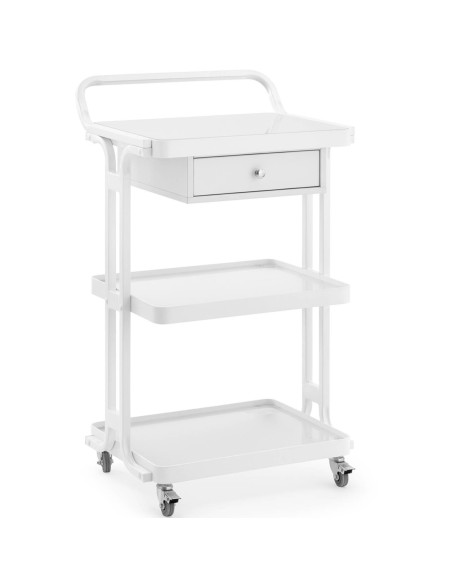 Kirpyklų kosmetinis staliukas vežimėlis 1 stalčius 3 lentynos 55 x 45 x 96 cm - baltas
 
Kirpyklų kosmetinis staliukas vežimėlis 1 stalčius 3 lentynos 55 x 45 x 96 cm - baltas