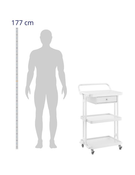 Kirpyklų kosmetinis staliukas vežimėlis 1 stalčius 3 lentynos 55 x 45 x 96 cm - baltas
 
Kirpyklų kosmetinis staliukas vežimėlis 1 stalčius 3 lentynos 55 x 45 x 96 cm - baltas