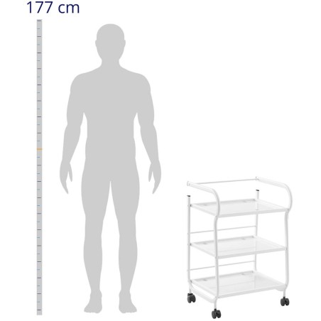 Grožio asistento vežimėlis su 3 stiklinėmis lentynomis 43 x 53 x 80 cm - baltas
 
Grožio asistento vežimėlis su 3 stiklinėmis lentynomis 43 x 53 x 80 cm - baltas