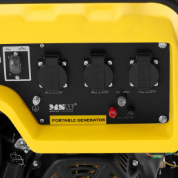 
Mobilus generatorius su starteriu AC 230V / DC 12V 4400W
