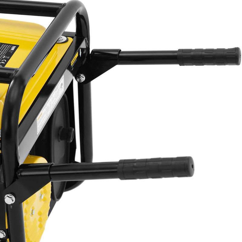 Mobilus generatorius su starteriu AC 230V / DC 12V 2200W