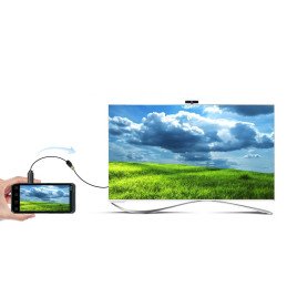 
HDMI į mikro HDMI adapterio laidas, 20 cm, juodas
