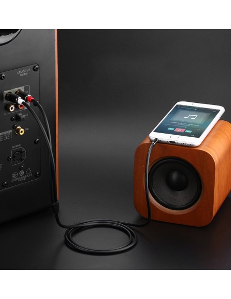 
Kabelio garso kabelis 3,5 mm mini lizdas - 2RCA 2m juodas
