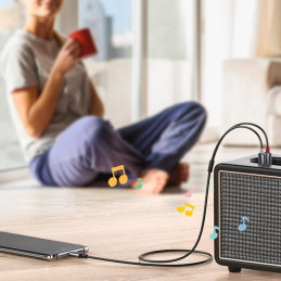 
Garso kabelis USB-C kištukas - 2RCA kištukas 1,5 m pilka
