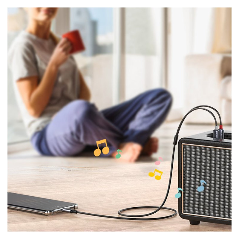 Garso kabelis USB-C kištukas - 2RCA kištukas 1,5 m pilka