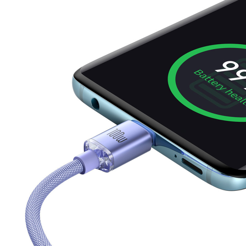 Kabelis greitam įkrovimui ir duomenų perdavimui USB - USB-C 100W 1,2m violetinė