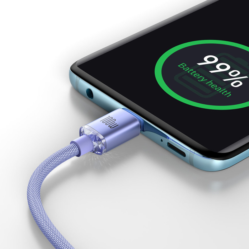 Kabelis greitam įkrovimui ir duomenų perdavimui USB - USB-C 100W 1,2m violetinė
