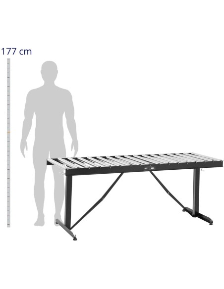 Ritininis tiektuvas su aukščio reguliavimu iki 200kg 17 rulonų 540x35mm 178cm
 
Ritininis tiektuvas su aukščio reguliavimu iki 200kg 17 rulonų 540x35mm 178cm