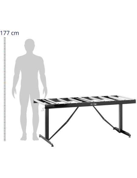 
Ritininis tiektuvas su aukščio reguliavimu iki 200kg 9 ritinėliai 540x35mm 168cm
