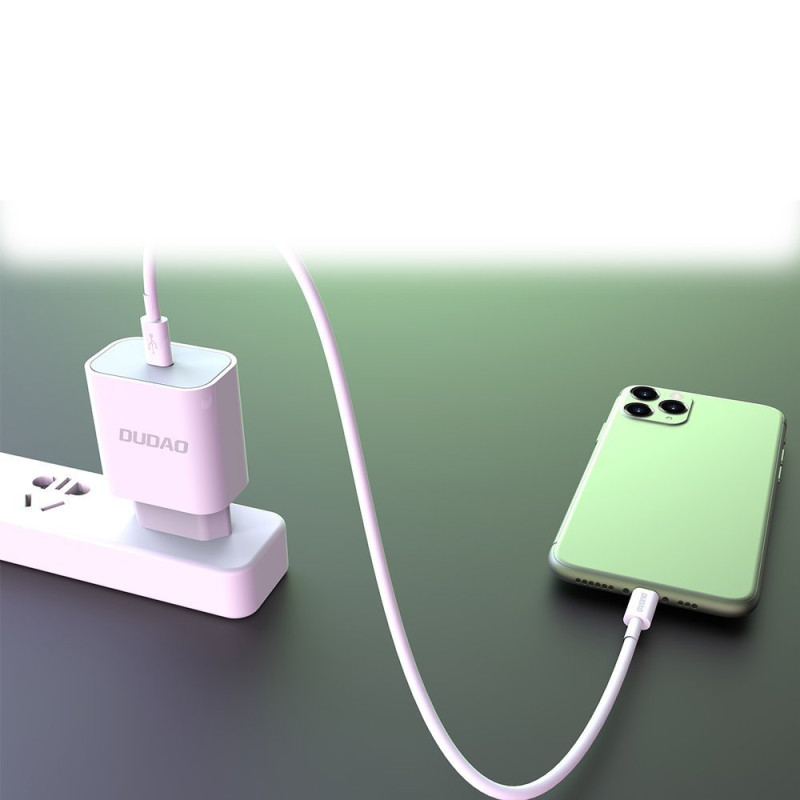 EU USB-C PD greitas įkroviklis + Lightning laidas iPhone 1m baltas