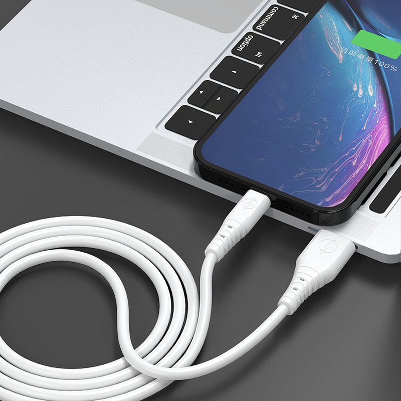 
Lankstus USB - USB-C laidas 6A 1m baltas
