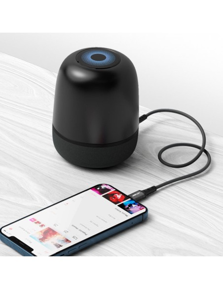 
AUX garso laidas iPhone MFI Lightning - 3,5 mm mini lizdas 1,2 m juodas
