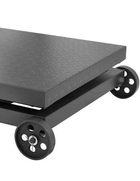 Pramoninės platforminės svarstyklės ant ratų 600 kg / 100 g LCD
 
Pramoninės platforminės svarstyklės ant ratų 600 kg / 100 g LCD