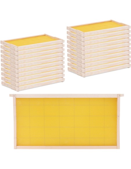 Langstroth pušinis bičių avilio rėmas su žarnomis 232 mm - 20 vnt
 
Langstroth pušinis bičių avilio rėmas su žarnomis 232 mm - 20 vnt