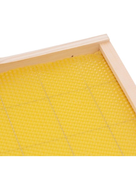 Langstroth pušinis bičių avilio rėmas su žarnomis 232 mm - 20 vnt
 
Langstroth pušinis bičių avilio rėmas su žarnomis 232 mm - 20 vnt