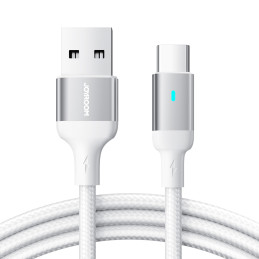
USB – USB-C laidas greitam įkrovimui A10 Series 3A 3m baltas
