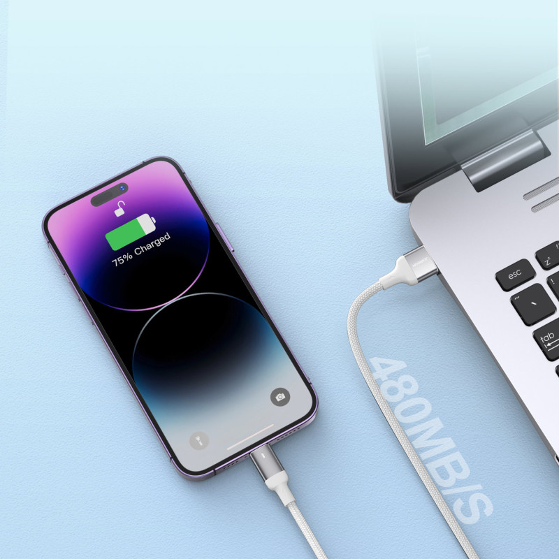 iPhone USB - Lightning laidas greitam įkrovimui A10 Series 2.4A 3m baltas