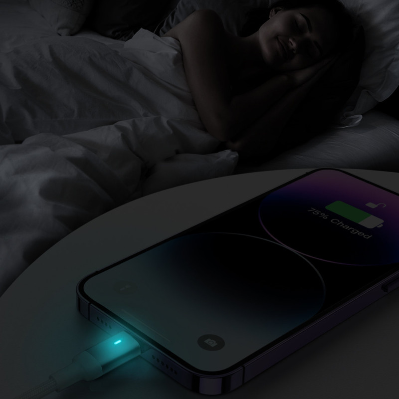 iPhone USB - Lightning laidas greitam įkrovimui A10 Series 2.4A 3m baltas