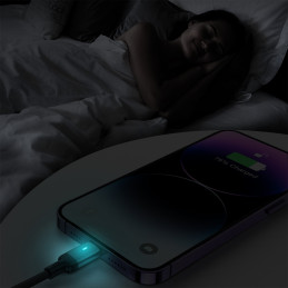 
iPhone USB - Lightning laidas greitam įkrovimui A10 Series 2.4A 3m juodas
