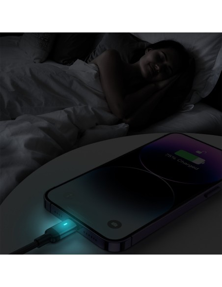 iPhone USB - Lightning laidas greitam įkrovimui A10 Series 2.4A 3m juodas
 
iPhone USB - Lightning laidas greitam įkrovimui A10 Series 2.4A 3m juodas