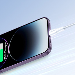 
iPhone Surpass Series USB - Lightning 2.4 kabelis 3m baltas
