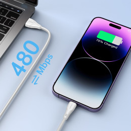 
iPhone Surpass Series USB - Lightning 2.4 kabelis 3m baltas
