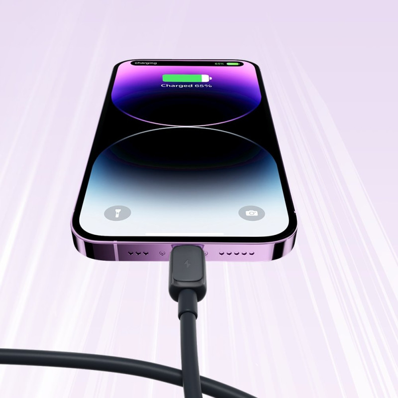 Kabelis iPhone Lightning - USB 2.4A 480Mbps 2m juodas
