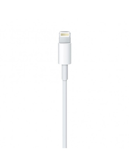 Originalus Apple kabelis iPhone USB-A - Lightning 1m baltas
 
Originalus Apple kabelis iPhone USB-A - Lightning 1m baltas