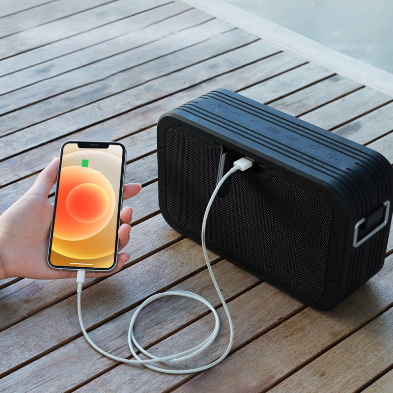 2in1 belaidis Bluetooth garsiakalbis Force Max 80W su Powerbank funkcija, juodas