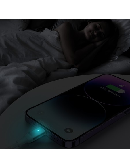 
Patvarus pintas kabelis iPhone A10 Series USB-C - Lightning 20W 2m baltas
