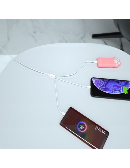 3in1 kabelis USB-A į USB-C mikro USB iPhone Lightning 480Mb/ s 1,2m baltas
 
3in1 kabelis USB-A į USB-C mikro USB iPhone Lightning 480Mb/ s 1,2m baltas