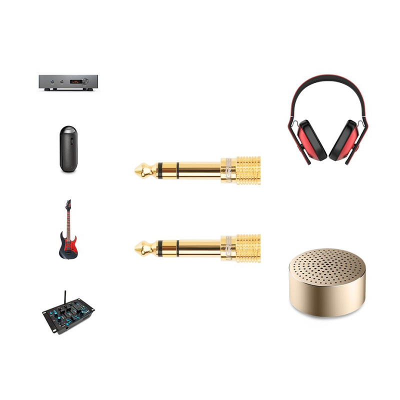 Adapterio adapteris nuo 3,5 mm mini lizdo iki 6,3 mm lizdo, auksinis