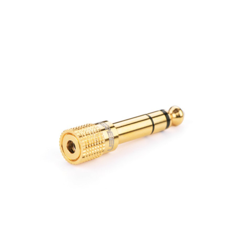 Adapterio adapteris nuo 3,5 mm mini lizdo iki 6,3 mm lizdo, auksinis