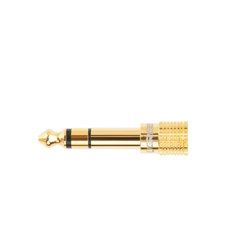 Adapterio adapteris nuo 3,5 mm mini lizdo iki 6,3 mm lizdo, auksinis