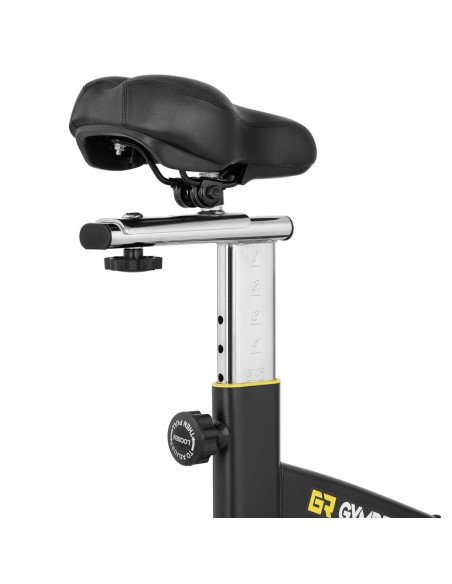 Spiningas treniruoklis iki 100 kg - smagratis 13 kg