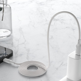 
USB-C laidas įkrovimui ir duomenų perdavimui 100W PD 1m baltas
