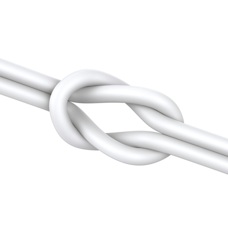 JR-EC06 USB-C į ausis įdedamos ausinės sidabrinės spalvos ausinės