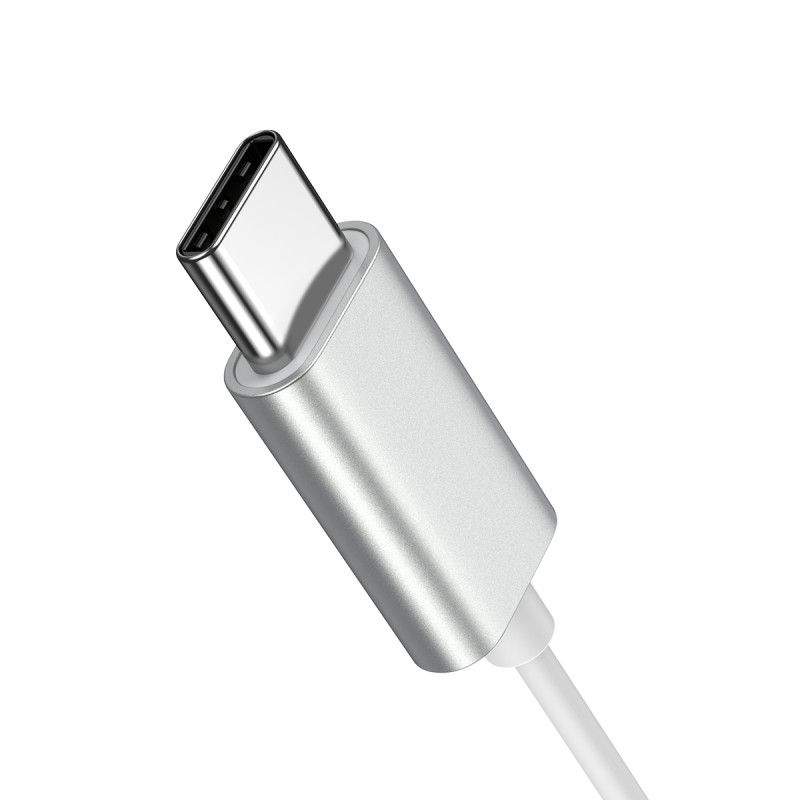 JR-EC06 USB-C į ausis įdedamos ausinės sidabrinės spalvos ausinės