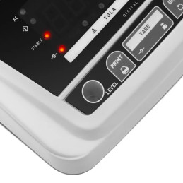 
Analitinės laboratorinės svarstyklės su LED dangteliu RS232 300g / 0,01g
