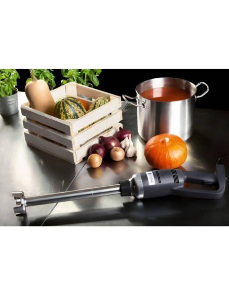 Galingas maišytuvas maišytuvas rankinis robotas rankos ilgis 400mm 350W 230V Royal Catering Galingas maišytuvas maišytuvas rankinis robotas rankos ilgis 400mm 350W 230V Royal Catering