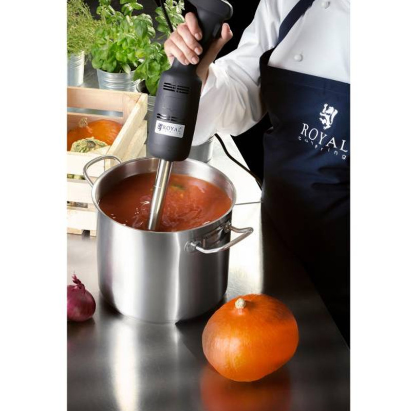 Galingas maišytuvas maišytuvas rankinis robotas rankos ilgis 400mm 350W 230V Royal Catering